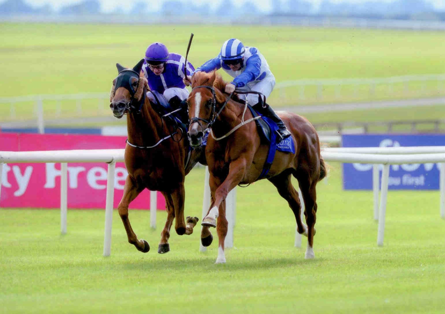 DR FUNKENSTEIN - Winning at The Curragh 28th June 2013